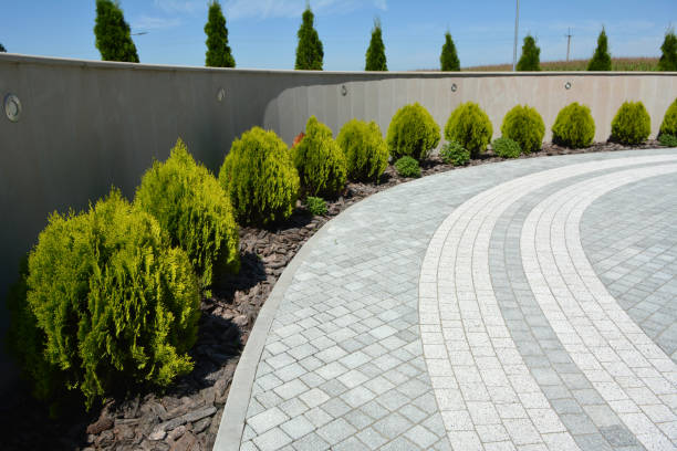 Best Driveway Paving Contractor  in Terre Du Lac, MO